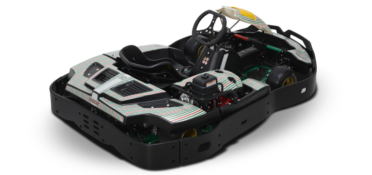 Tony Kart Viper