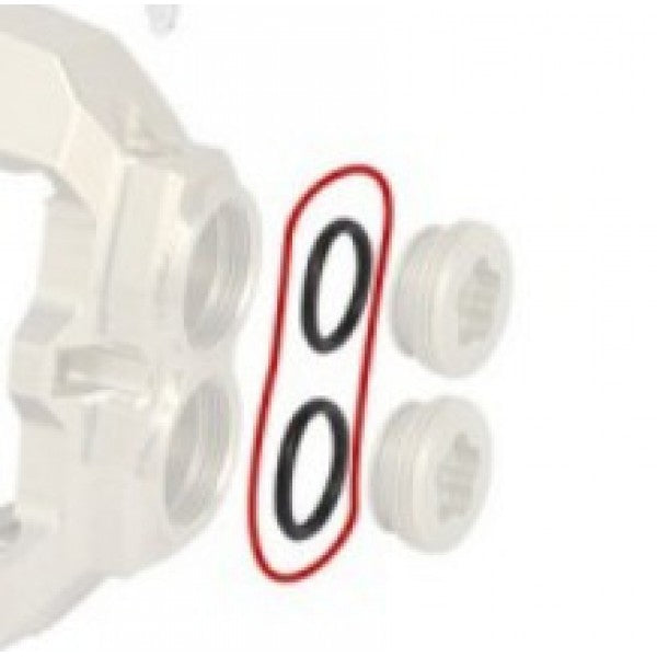 <P>FRONT CALIPER PLUG KZ BSS O-RING</P>