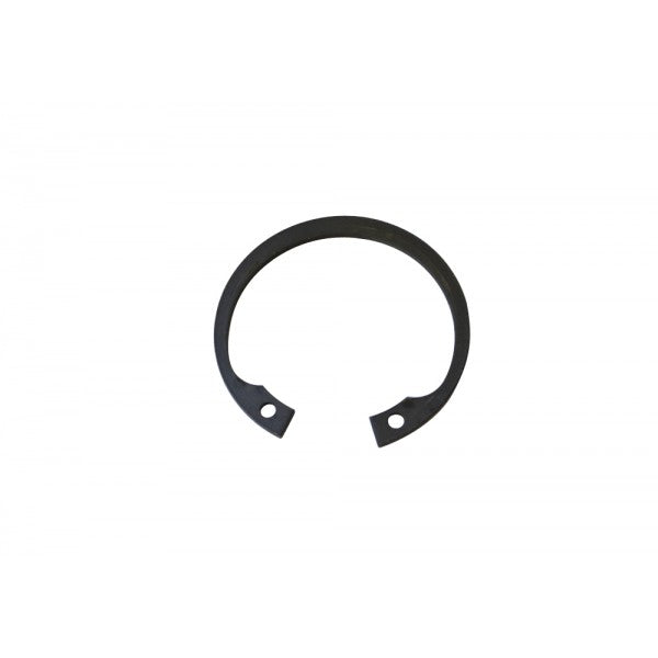 SEEGER FOR DISK?S HUB