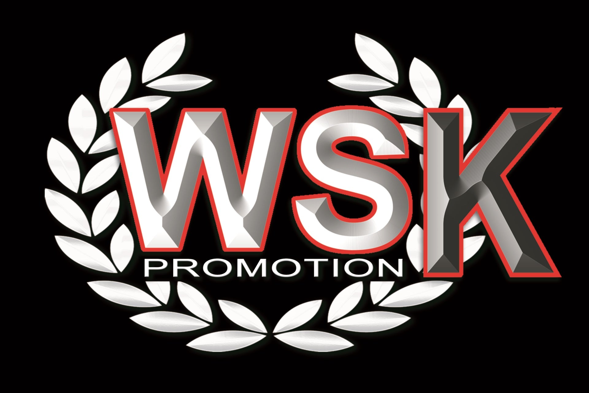 WSK postpones the debut of the new categories OK-N and OKN-J