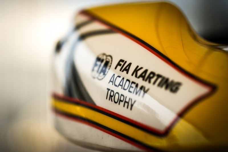 WHAT IS THE FIA KARTING ACADEMY AND WHY IS IT IMPORTANT?