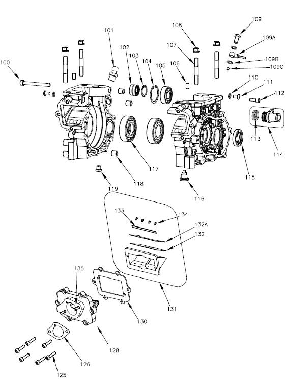 OKJ engine (Crankshaft Cover and Reeds)