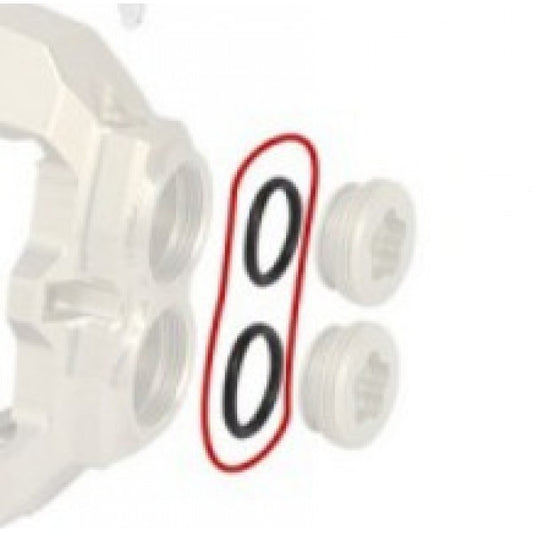<P>FRONT CALIPER PLUG KZ BSS O-RING</P>