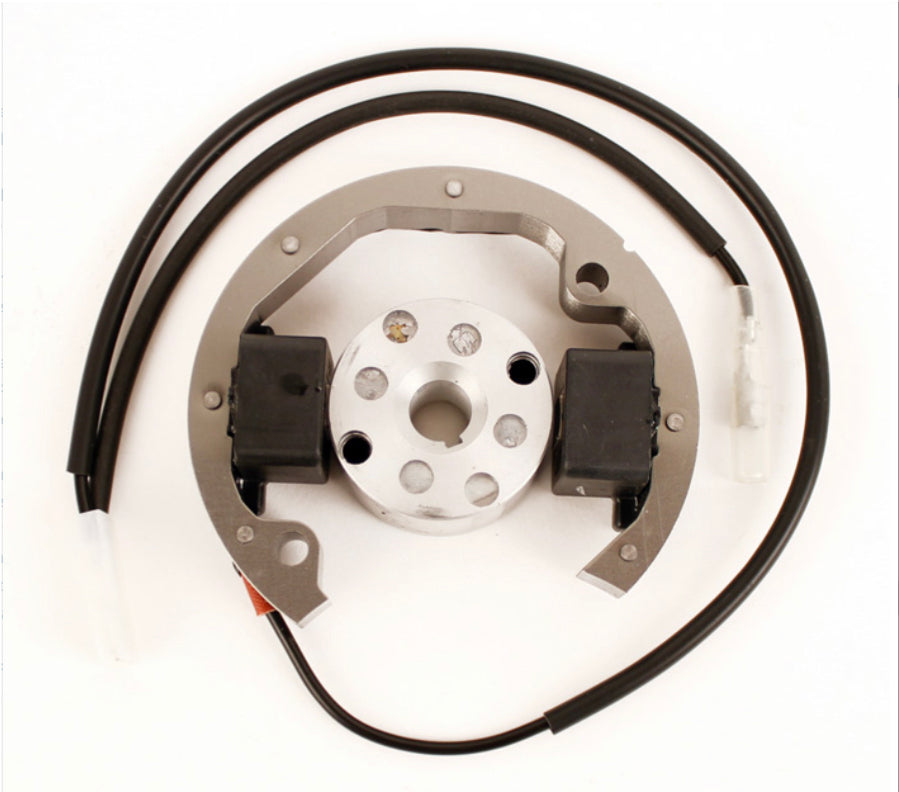 Mini Rok Engine (Ignition and Exhaust) | FTW Motorsport - For The Win ...